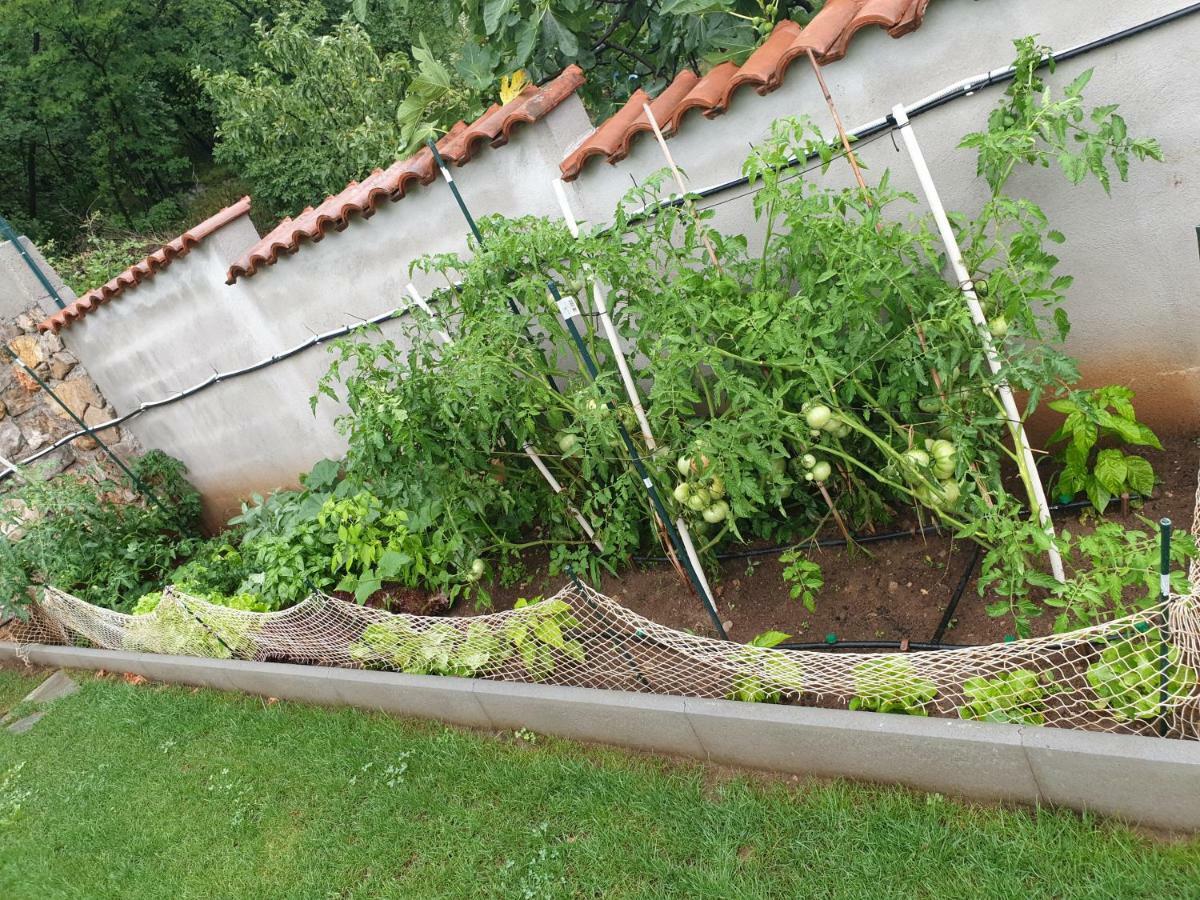 Villa Meri Rijeka Bagian luar foto